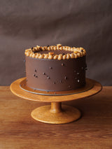 Mocha Hazelnut Cake