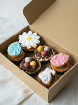 Box of 6 Cupcakes - “Easter Egg Hunt” Decor